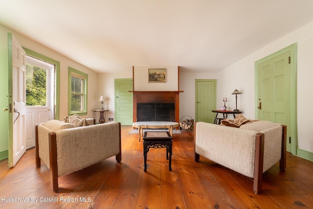 437 Snydertown Rd, Craryville, NY 12521 - living room featuring wood-type flooring and a fireplace
