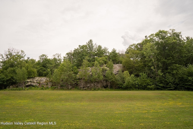 437 Snydertown Rd, Craryville, NY 12521 - view of green lawn