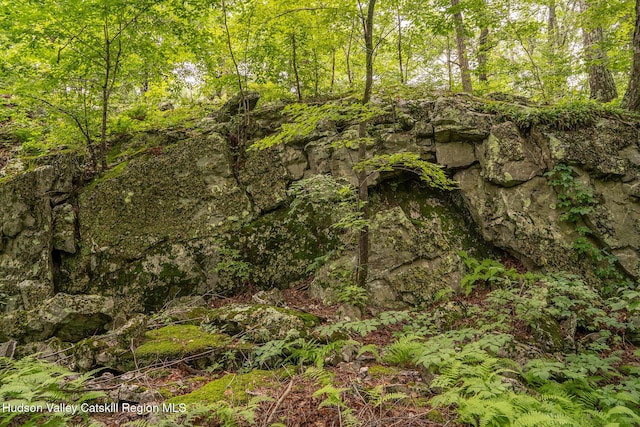 437 Snydertown Rd, Craryville, NY 12521 - view of wooded area