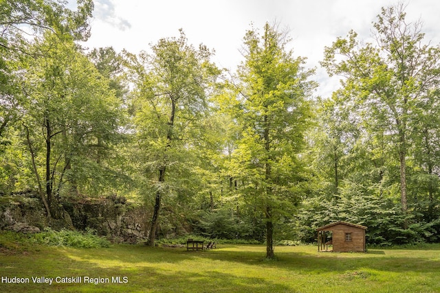 437 Snydertown Rd, Craryville, NY 12521 - view of green lawn featuring an outdoor structure and a wooded view