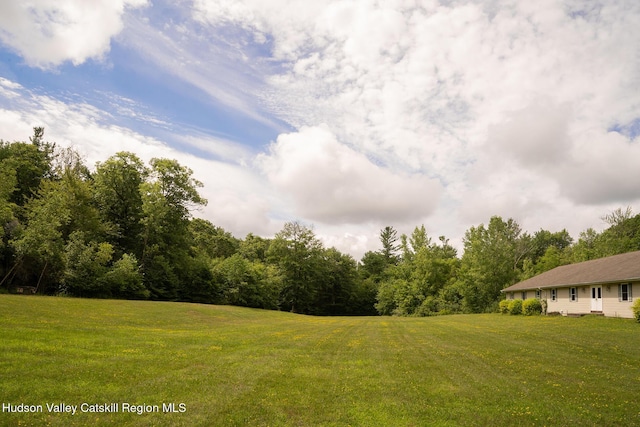 437 Snydertown Rd, Craryville, NY 12521 - view of green lawn with a wooded view