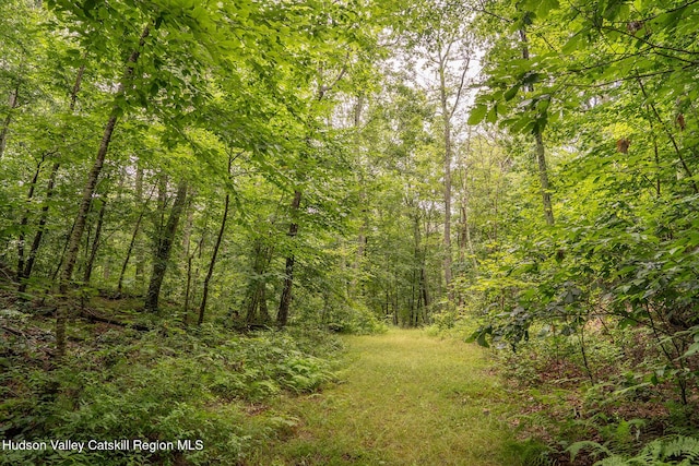 437 Snydertown Rd, Craryville, NY 12521 - view of tree filled area