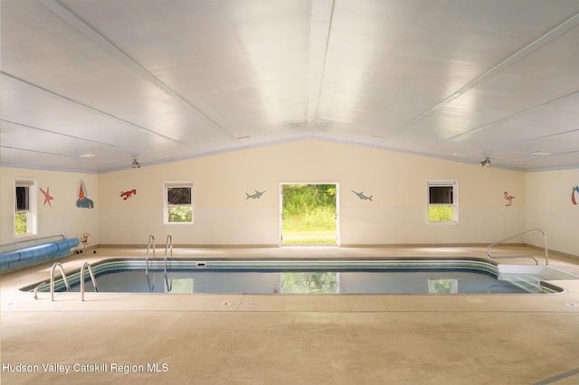 437 Snydertown Rd, Craryville, NY 12521 - view of pool