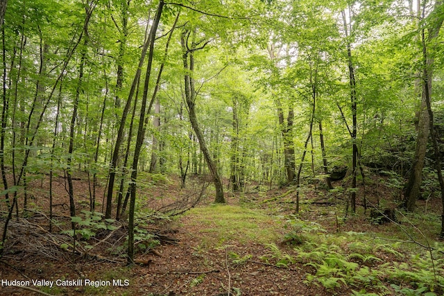 437 Snydertown Rd, Craryville, NY 12521 - view of wooded area