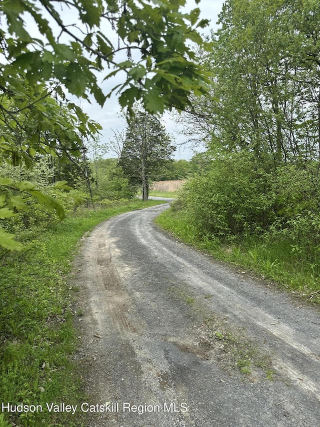 165 W Camp Rd, Saugerties, NY 12477