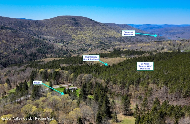 mountain view featuring a view of trees