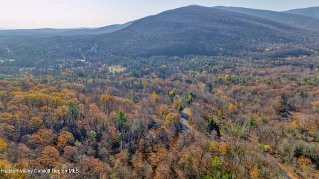 view of mountain feature