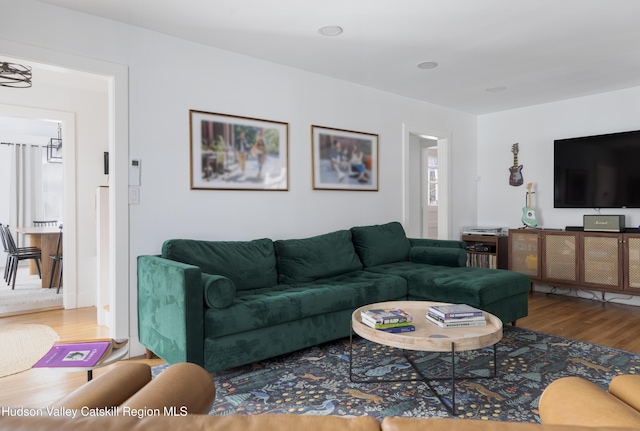 living room featuring hardwood / wood-style floors