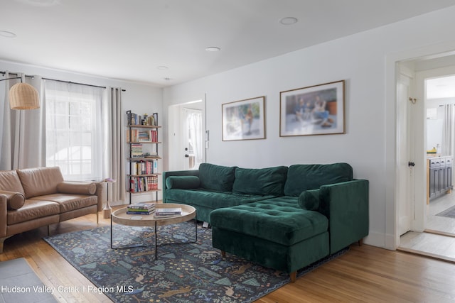 living room with hardwood / wood-style flooring