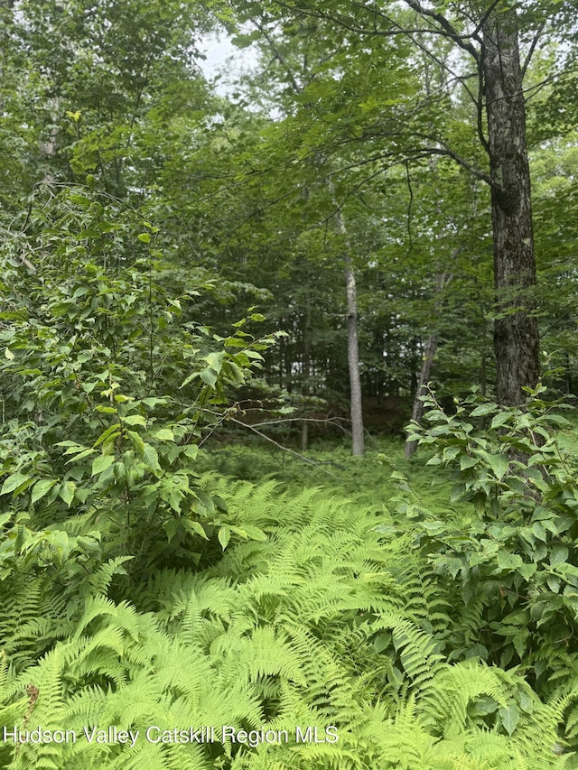 0 Black River Rd, Stephentown, NY 12169 - photo 18