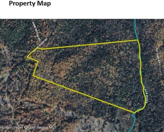 0 Black River Rd, Stephentown, NY 12169 - photo 2