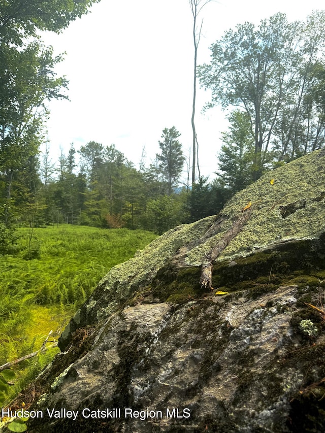 0 Black River Rd, Stephentown, NY 12169 - photo 10