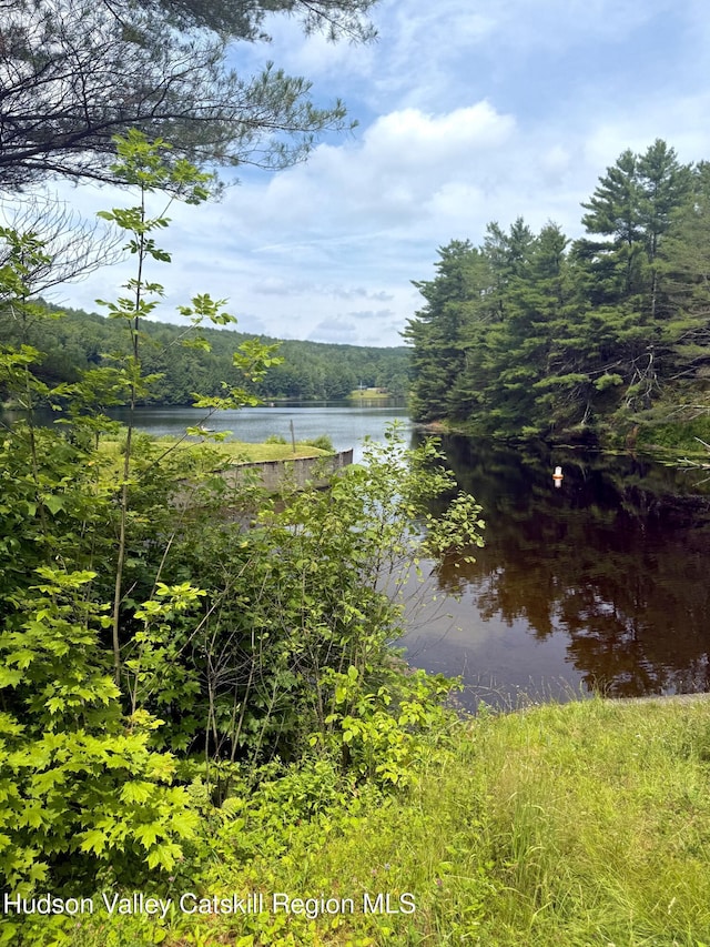 0 Black River Rd, Stephentown, NY 12169 - photo 21