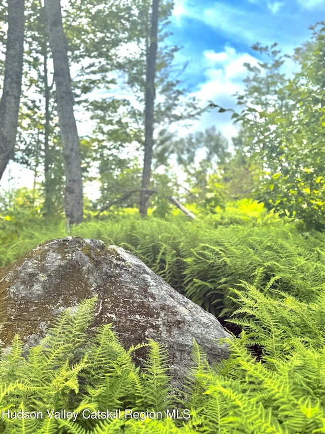 0 Black River Rd, Stephentown, NY 12169 - photo 12