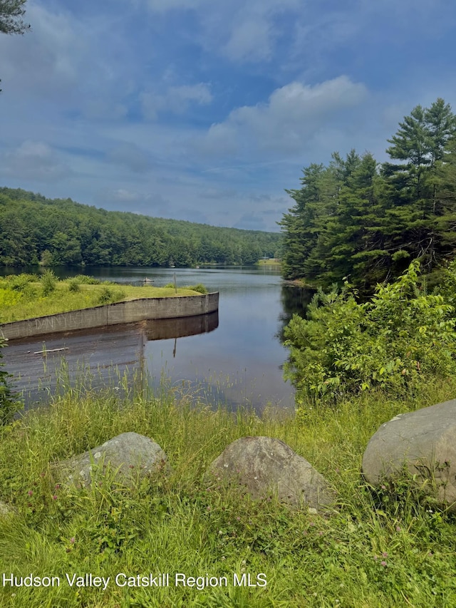 0 Black River Rd, Stephentown, NY 12169 - photo 20