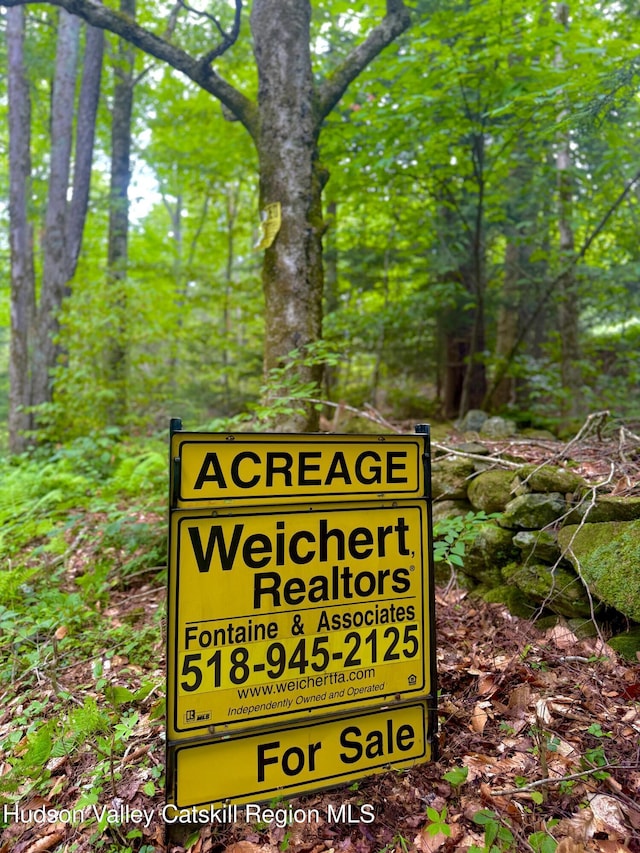 0 Black River Rd, Stephentown, NY 12169 - photo 17