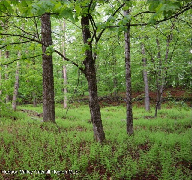 0 Black River Rd, Stephentown, NY 12169 - photo 3