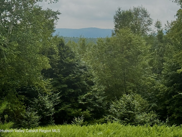 0 Black River Rd, Stephentown, NY 12169 - photo 16