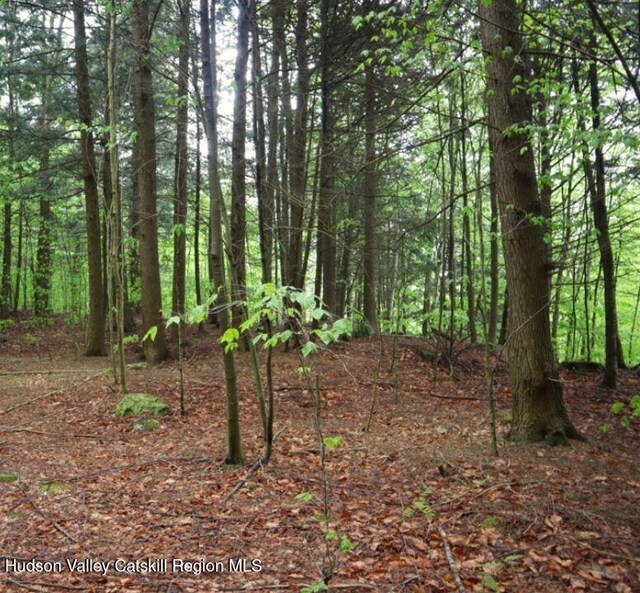 0 Black River Rd, Stephentown, NY 12169 - photo 4