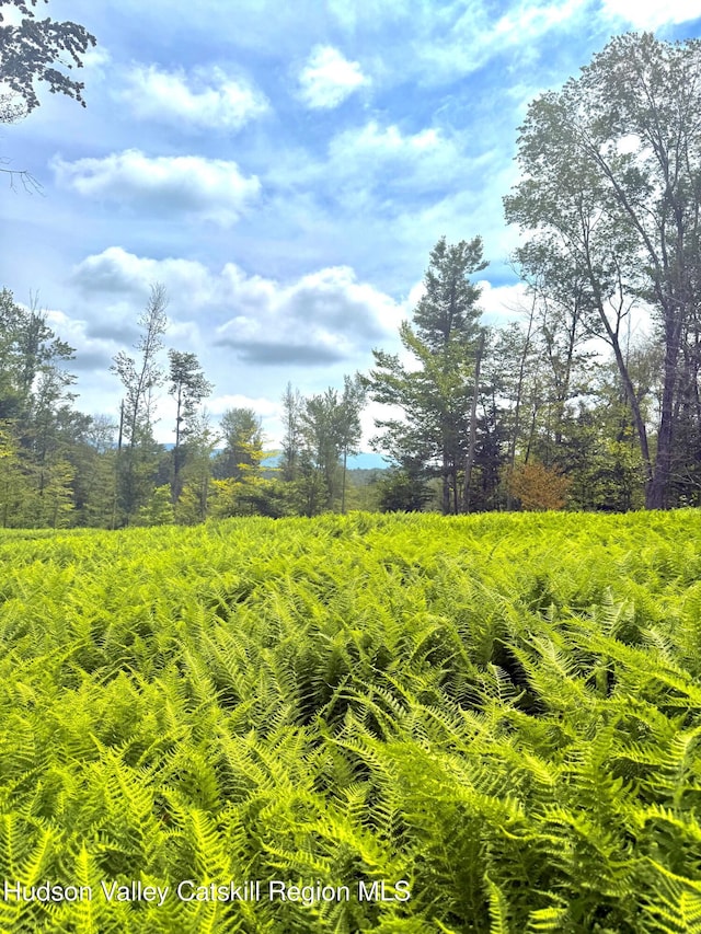 0 Black River Rd, Stephentown, NY 12169 - photo 9