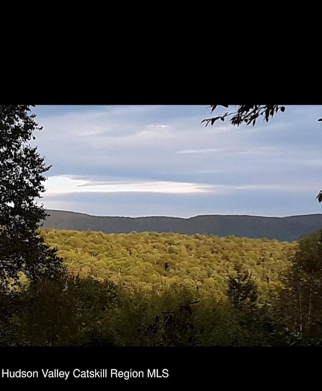 0 Black River Rd, Stephentown, NY 12169 - photo 1