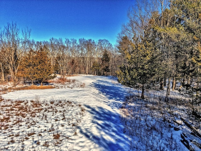 128 W Moorehouse Rd, Cairo, NY 12413 - view of street