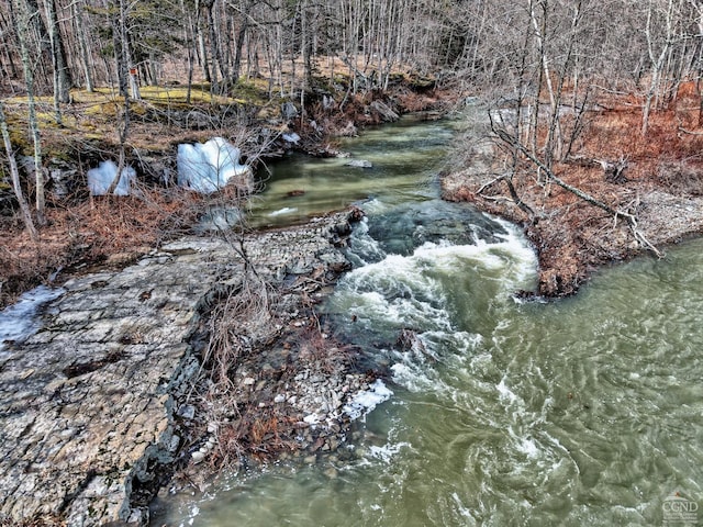 128 W Moorehouse Rd, Cairo, NY 12413 - view of local wilderness