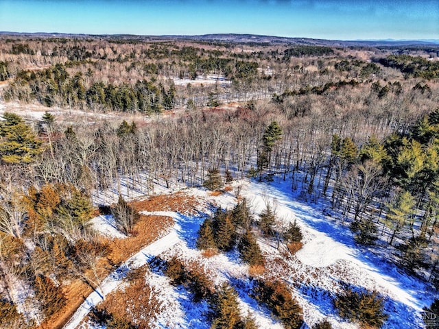 128 W Moorehouse Rd, Cairo, NY 12413 - view of snowy aerial view