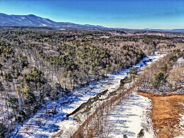 128 W Moorehouse Rd, Cairo, NY 12413 - aerial view of a mountain backdrop