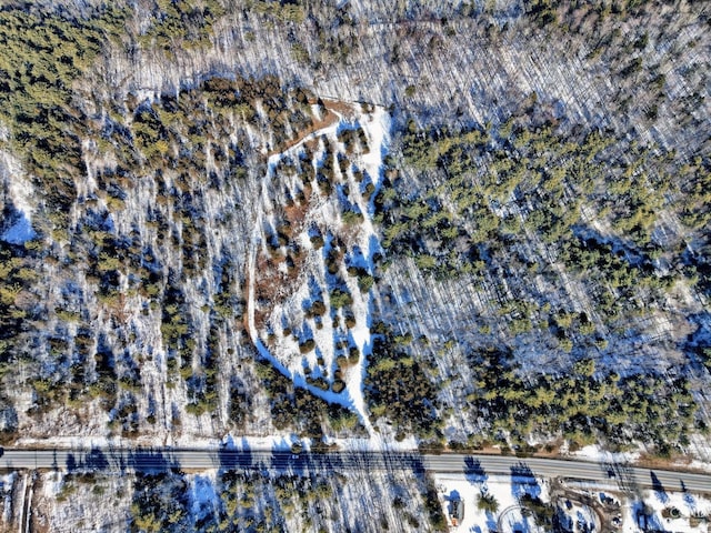 128 W Moorehouse Rd, Cairo, NY 12413 - aerial view of property's location