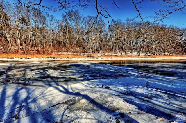 128 W Moorehouse Rd, Cairo, NY 12413 - view of pool featuring a view of trees