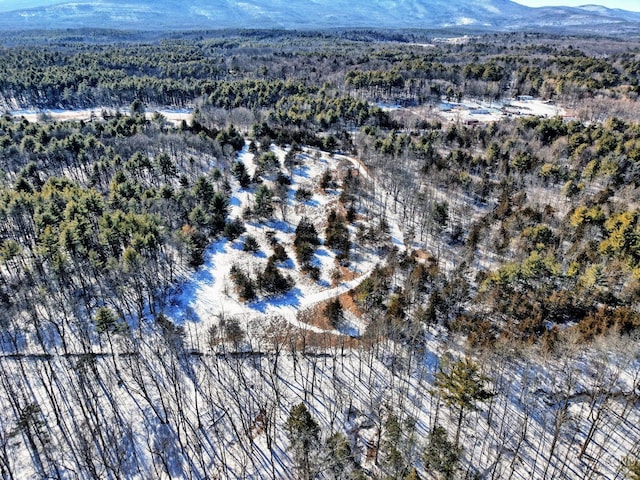 128 W Moorehouse Rd, Cairo, NY 12413 - aerial view of property and surrounding area with mountains