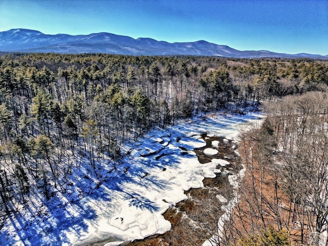 128 W Moorehouse Rd, Cairo, NY 12413 - view of mountain background featuring a heavily wooded area