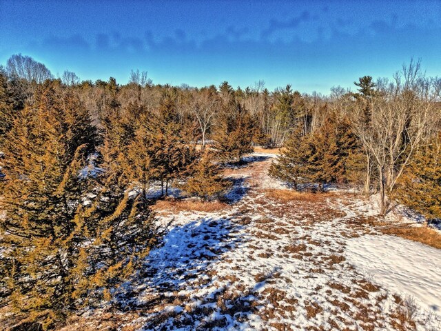 128 W Moorehouse Rd, Cairo, NY 12413 - view of woods
