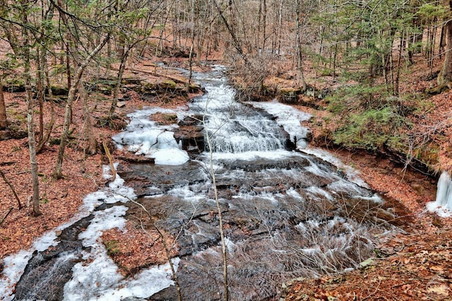 128 W Moorehouse Rd, Cairo, NY 12413 - view of undeveloped land