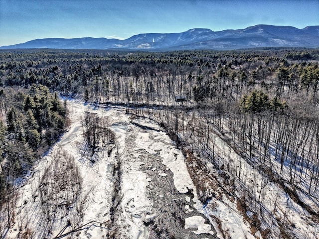 128 W Moorehouse Rd, Cairo, NY 12413 - aerial view of a mountain backdrop and a heavily wooded area