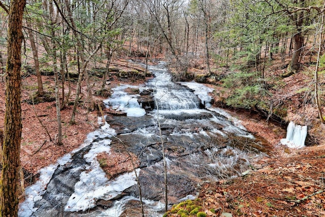 128 W Moorehouse Rd, Cairo, NY 12413 - view of tree filled area