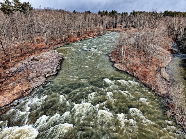 128 W Moorehouse Rd, Cairo, NY 12413 - water view featuring a heavily wooded area