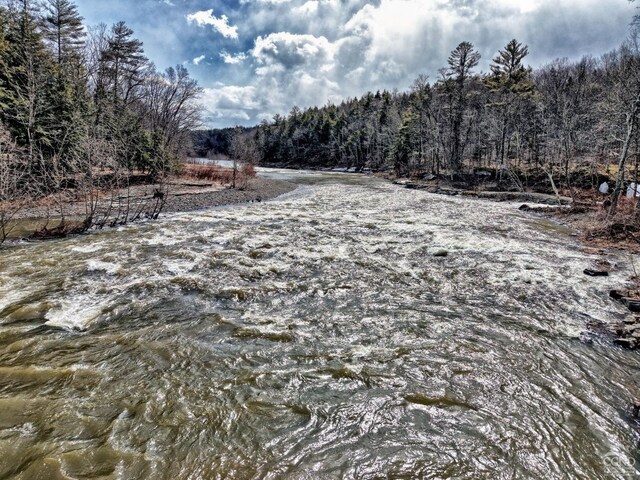 128 W Moorehouse Rd, Cairo, NY 12413 - view of wooded area