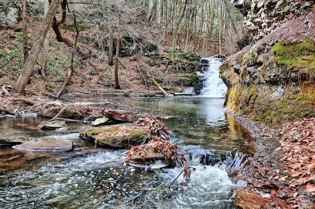 128 W Moorehouse Rd, Cairo, NY 12413 - view of local wilderness