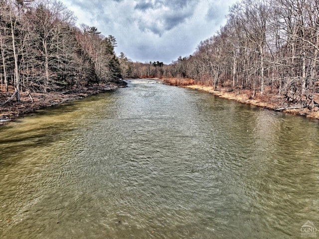 128 W Moorehouse Rd, Cairo, NY 12413 - water view with a heavily wooded area