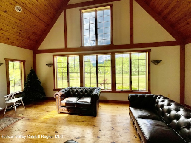 71 Saddleback Ridge Rd, Shawangunk, NY 12589 - living area featuring high vaulted ceiling, light wood-style floors, and wood ceiling