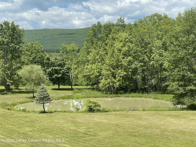 71 Saddleback Ridge Rd, Shawangunk, NY 12589 - view of grassy yard with a water view and a wooded view