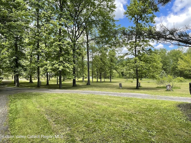 71 Saddleback Ridge Rd, Shawangunk, NY 12589 - view of property's community with a lawn