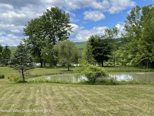 71 Saddleback Ridge Rd, Shawangunk, NY 12589 - view of home's community with a water view and a yard