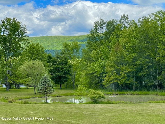 71 Saddleback Ridge Rd, Shawangunk, NY 12589 - view of home's community featuring a water view and a lawn