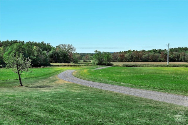 520 Ridge Rd, Stuyvesant, NY 12156 - photo 55