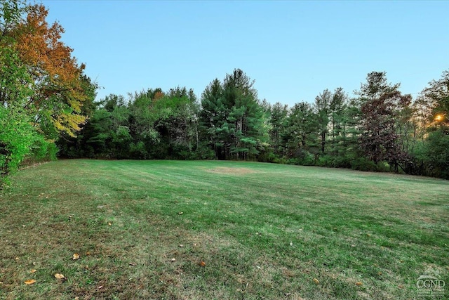 520 Ridge Rd, Stuyvesant, NY 12156 - photo 68