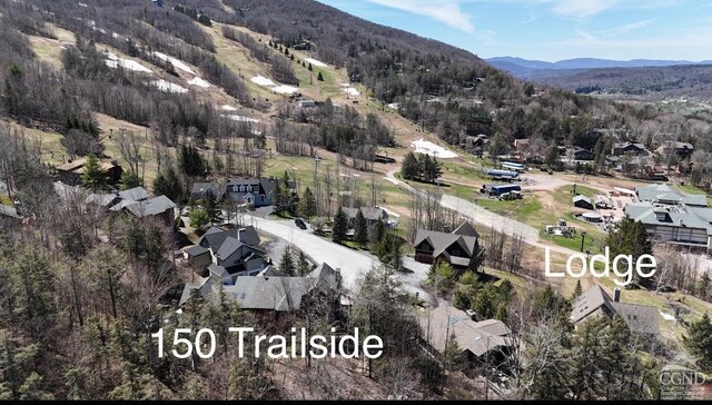 150 Trailside Rd, Windham, NY 12496 - photo 2
