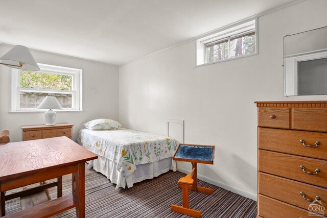 1236 Lakeview Rd, Copake, NY 12516 - bedroom with carpet floors and multiple windows